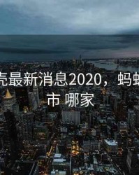 蚂蚁借壳最新消息2020，蚂蚁借壳上市 哪家