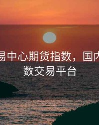 个大交易中心期货指数，国内期货指数交易平台