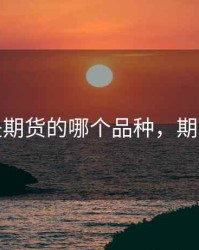 if1812是期货的哪个品种，期货if2108