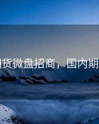 国际期货微盘招商，国内期货招商