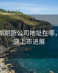 香港新湖期货公司地址在哪，新湖期货上市进展