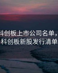 2020年科创板上市公司名单，2020年科创板新股发行清单