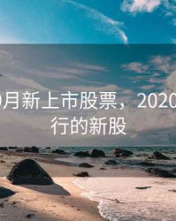 2020年9月新上市股票，2020年9月发行的新股