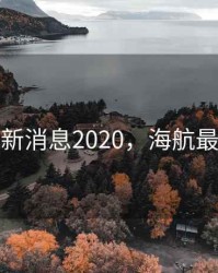 海航最新消息2020，海航最新状况