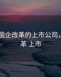 2020年国企改革的上市公司，国企改革 上市