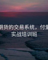 付爱民期货的交易系统，付爱民期货实战培训班