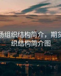 期货市场组织结构简介，期货市场组织结构简介图