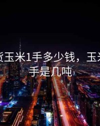 现在期货玉米1手多少钱，玉米期货一手是几吨