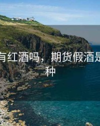 期货里有红酒吗，期货假酒是什么品种