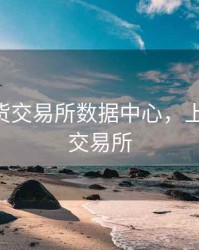 上海期货交易所数据中心，上海期货 交易所