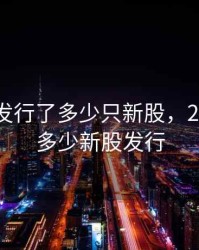 2020年发行了多少只新股，2020年有多少新股发行