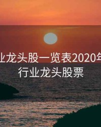 细分行业龙头股一览表2020年，细分行业龙头股票