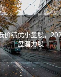 2020年低价绩优小盘股，2020低价小盘潜力股