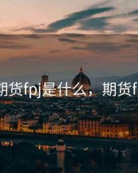 期货fpj是什么，期货fg