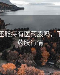 下半年还能持有医药股吗，下半年医药股行情