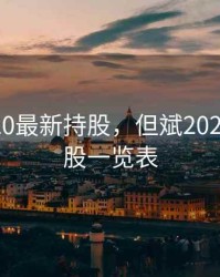 但斌2020最新持股，但斌2021年持仓股一览表