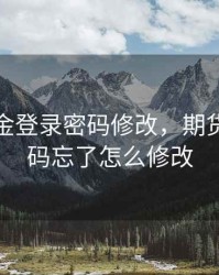 期货资金登录密码修改，期货资金密码忘了怎么修改