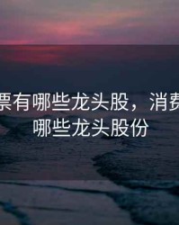 消费股票有哪些龙头股，消费股票有哪些龙头股份