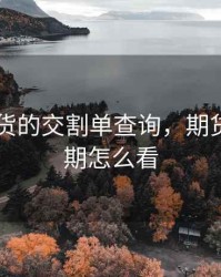 国内期货的交割单查询，期货交割日期怎么看