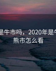2020年是牛市吗，2020年是牛市还是熊市怎么看