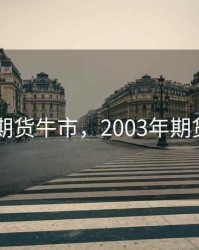 2013年期货牛市，2003年期货大牛市