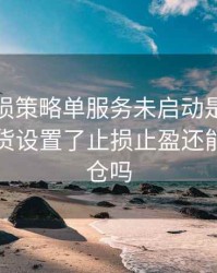 期货止损策略单服务未启动是什么意思，期货设置了止损止盈还能手动平仓吗