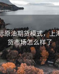 上海国际原油期货模式，上海原油期货市场怎么样了