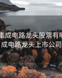 2020年集成电路龙头股票有哪些，集成电路龙头上市公司