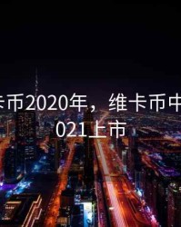国内维卡币2020年，维卡币中国央行2021上市