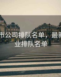 2020上市公司排队名单，最新上市企业排队名单