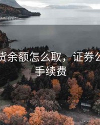 证券期货余额怎么取，证券公司期货手续费