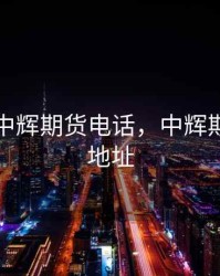 石家庄中辉期货电话，中辉期货公司地址