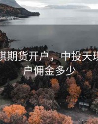 中投天琪期货开户，中投天琪期货开户佣金多少