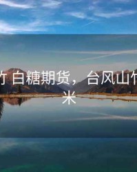 台风山竹 白糖期货，台风山竹肆虐50米