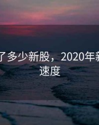 2020发了多少新股，2020年新股发行速度