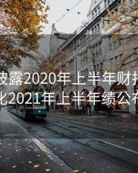 中石化披露2020年上半年财报，中石化2021年上半年绩公布