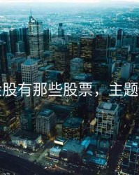 主题金股有那些股票，主题类股票