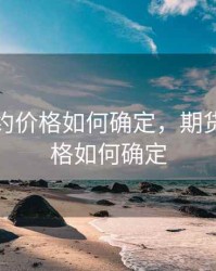 期货合约价格如何确定，期货合约价格如何确定