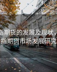 我国股指期货的发展及现状，中国股指期货市场发展研究