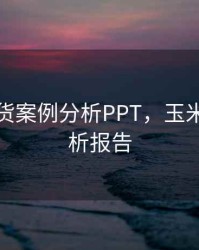 玉米期货案例分析PPT，玉米期货分析报告