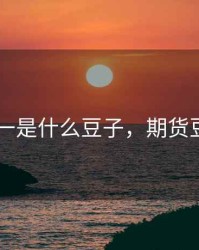 期货 豆一是什么豆子，期货豆一是啥