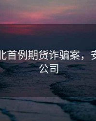 安徽淮北首例期货诈骗案，安徽期货公司