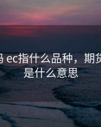 期货代码 ec指什么品种，期货eg和eb是什么意思