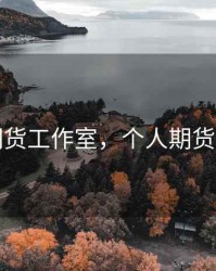 鸣洋期货工作室，个人期货工作室