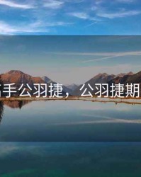 期货高手公羽捷，公羽捷期货视频