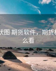 盘口 柱状图 期货软件，期货柱形图怎么看