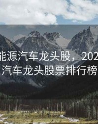 2020新能源汽车龙头股，2020新能源汽车龙头股票排行榜