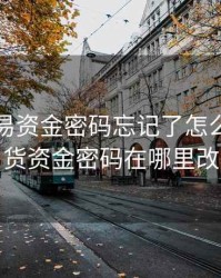 期货交易资金密码忘记了怎么办，期货资金密码在哪里改