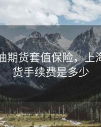 上海原油期货套值保险，上海原油期货手续费是多少