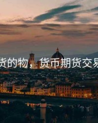 货币期货的物，货币期货交易的作用